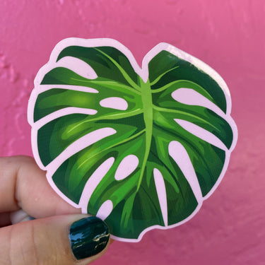 Monstera Sticker